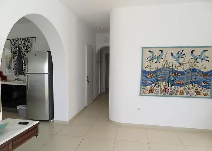 Kampanelli * 드리오스